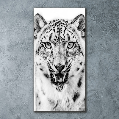 Staand foto op plexiglas Sneeuwluipaard