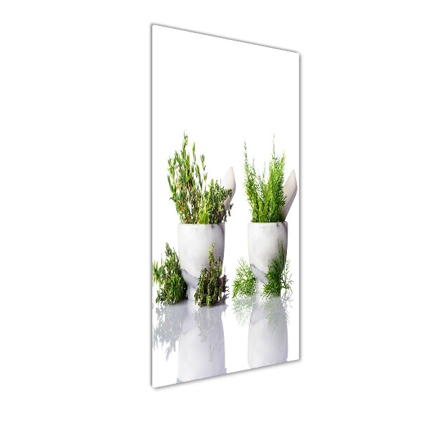 Staand foto in plexiglas Vijzels en kruiden