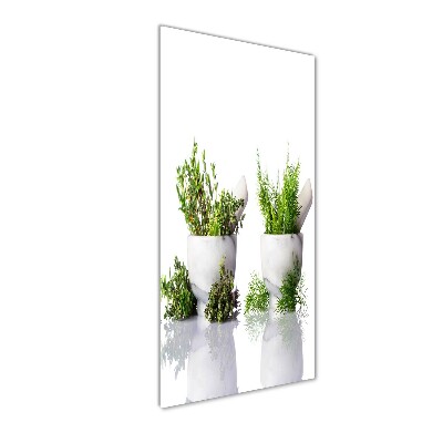 Staand foto in plexiglas Vijzels en kruiden