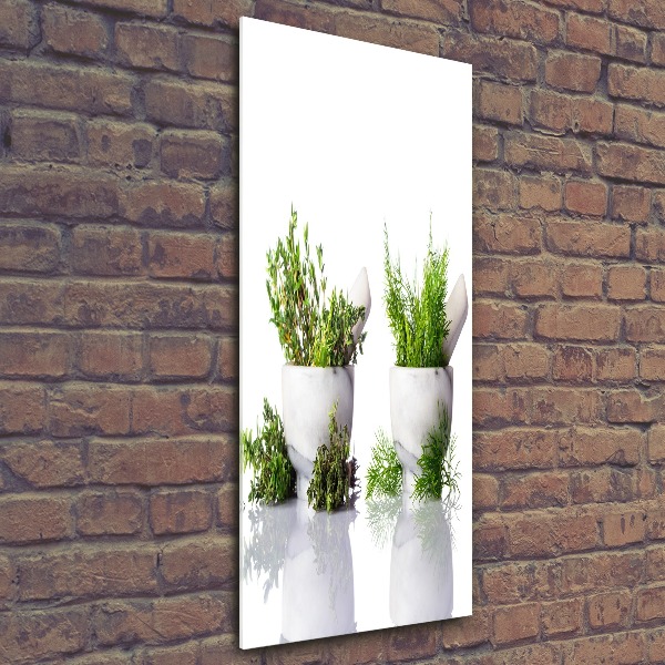 Staand foto in plexiglas Vijzels en kruiden