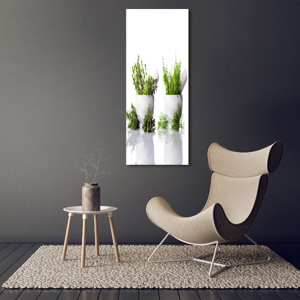 Staand foto in plexiglas Vijzels en kruiden