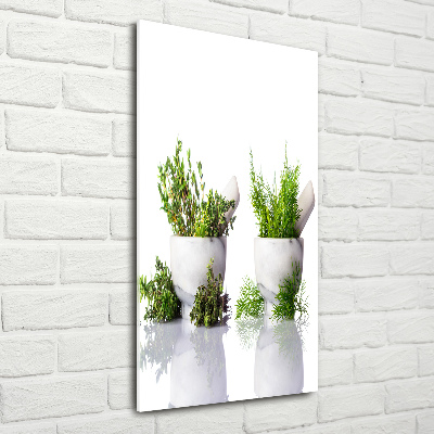 Staand foto in plexiglas Vijzels en kruiden