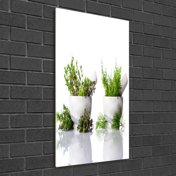 Staand foto in plexiglas Vijzels en kruiden
