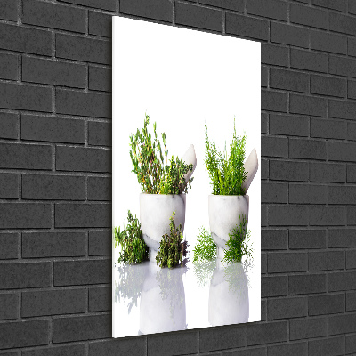 Staand foto in plexiglas Vijzels en kruiden
