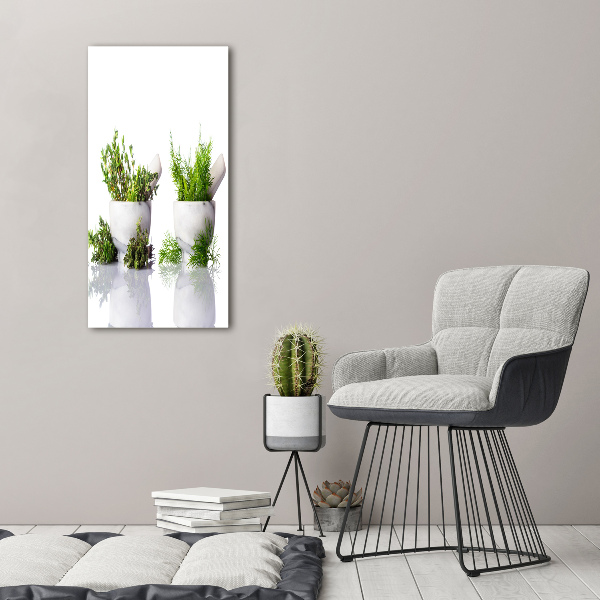 Staand foto in plexiglas Vijzels en kruiden