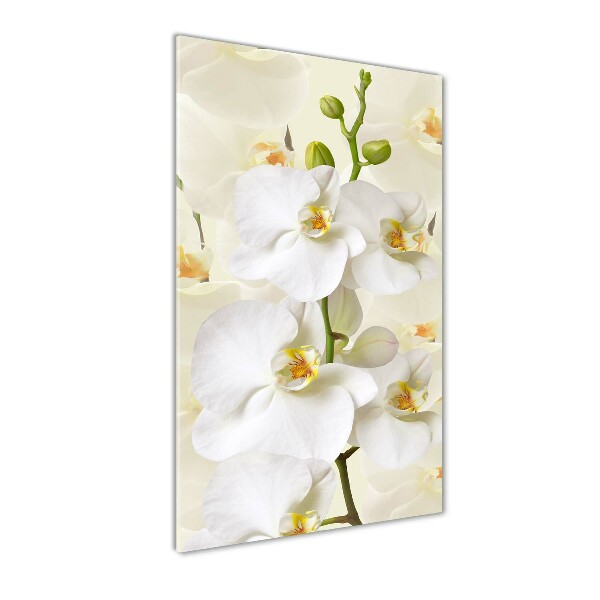 Staand plexiglas foto Witte orchidee