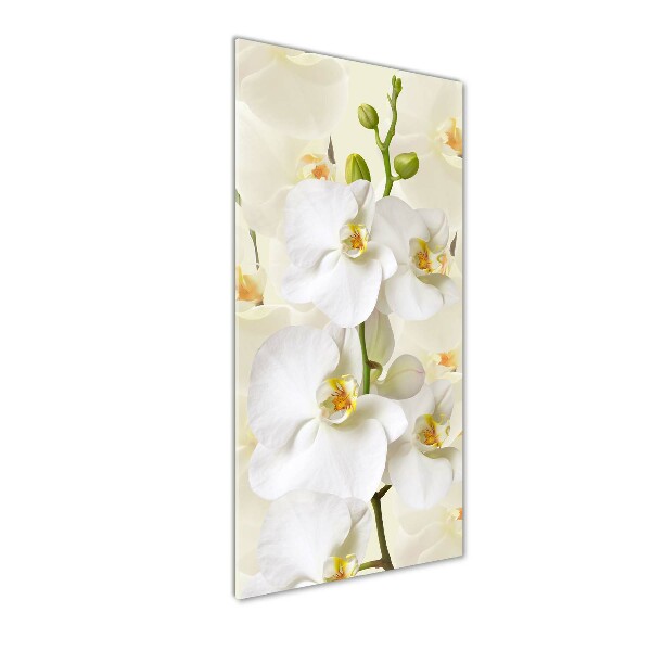 Staand plexiglas foto Witte orchidee
