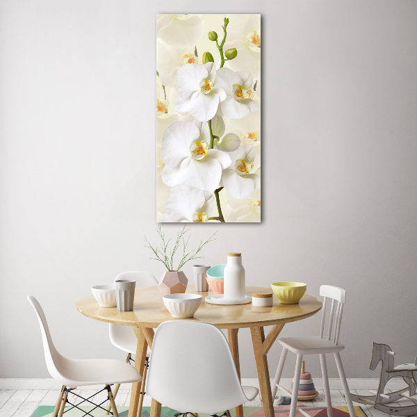 Staand plexiglas foto Witte orchidee