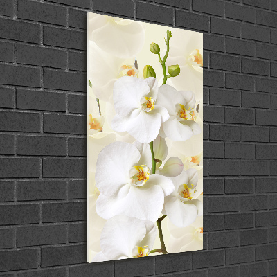 Staand plexiglas foto Witte orchidee