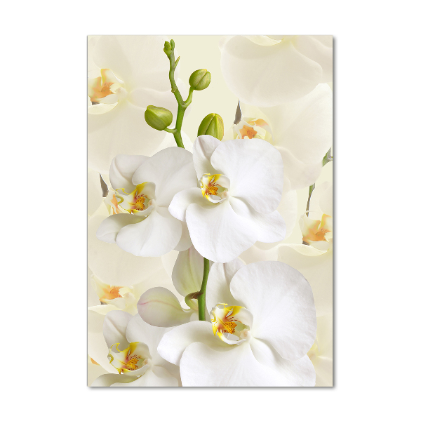 Staand plexiglas foto Witte orchidee