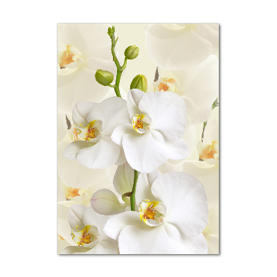 Staand plexiglas foto Witte orchidee