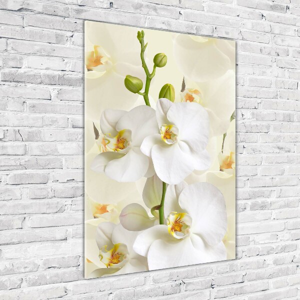 Staand plexiglas foto Witte orchidee