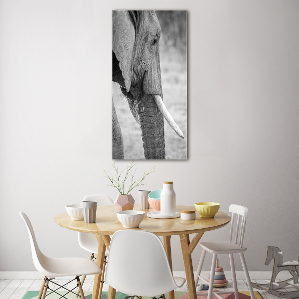 Staand plexiglas foto Olifant