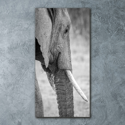 Staand plexiglas foto Olifant