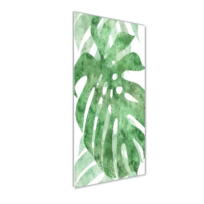 Staand plexiglas foto Monstera