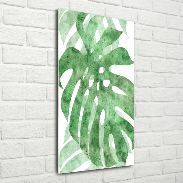 Staand plexiglas foto Monstera