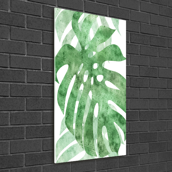 Staand plexiglas foto Monstera