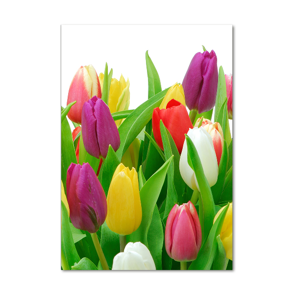 Staand foto op plexiglas Kleurrijke tulpen
