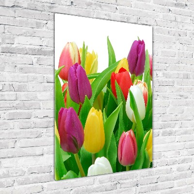 Staand foto op plexiglas Kleurrijke tulpen