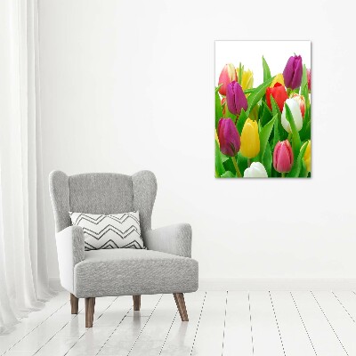 Staand foto op plexiglas Kleurrijke tulpen
