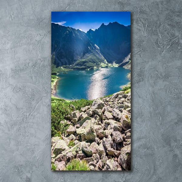 Staand foto op plexiglas Zwarte vijver Tatra-gebergte