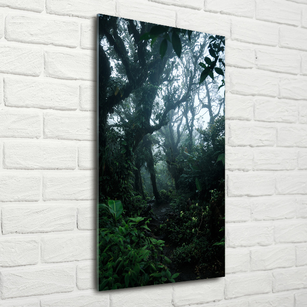 Staand foto plexiglas regenwoud