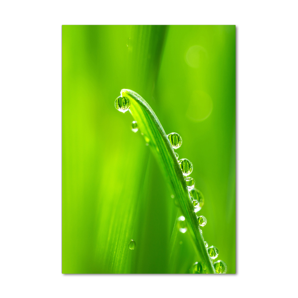 Staand plexiglas foto grassprieten