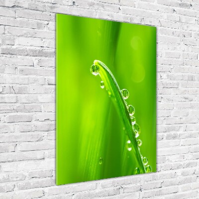 Staand plexiglas foto grassprieten