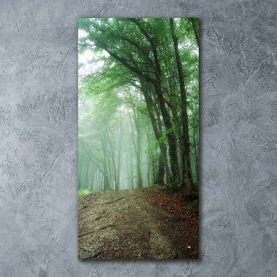 Staand plexiglas foto Mist in het bos