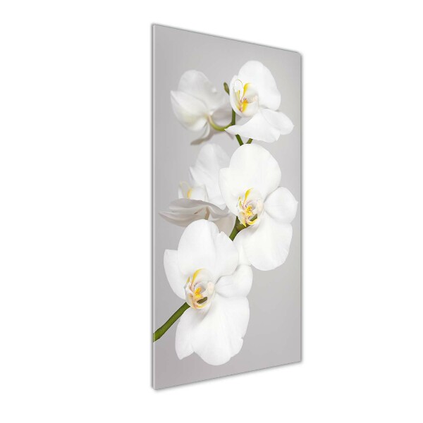 Staand foto plexiglas Witte orchidee