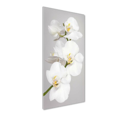 Staand foto plexiglas Witte orchidee