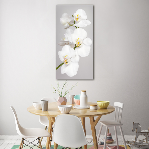 Staand foto plexiglas Witte orchidee