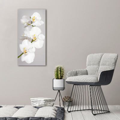 Staand foto plexiglas Witte orchidee