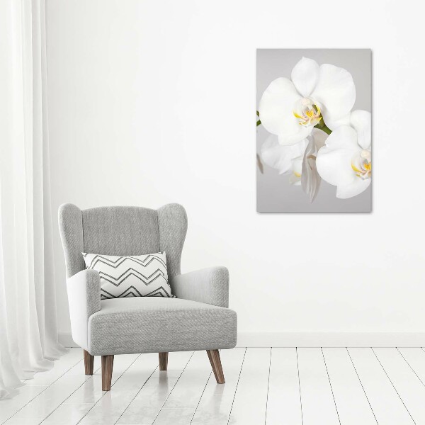 Staand foto plexiglas Witte orchidee