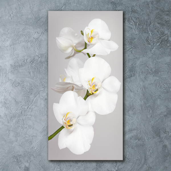 Staand foto plexiglas Witte orchidee