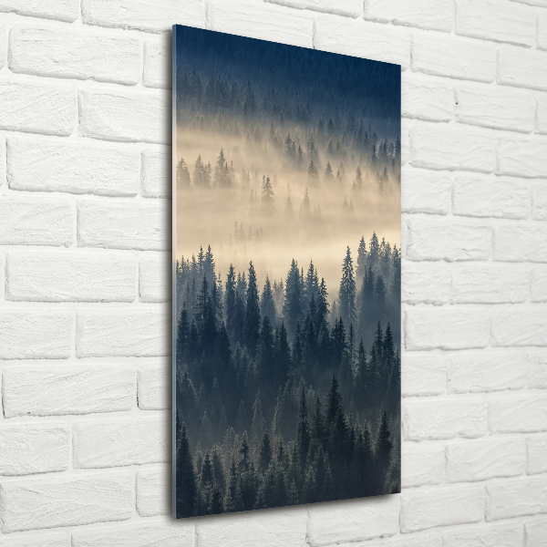 Staand foto plexiglas Mist boven het bos