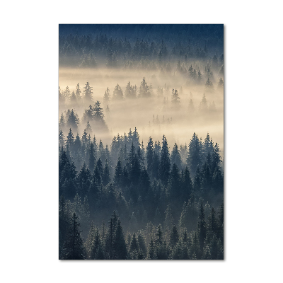 Staand foto plexiglas Mist boven het bos