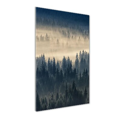 Staand foto plexiglas Mist boven het bos
