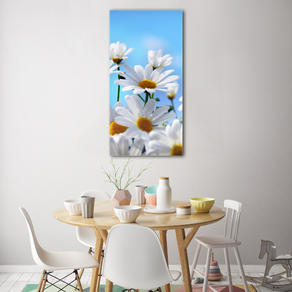 Staand foto in plexiglas Madeliefjes