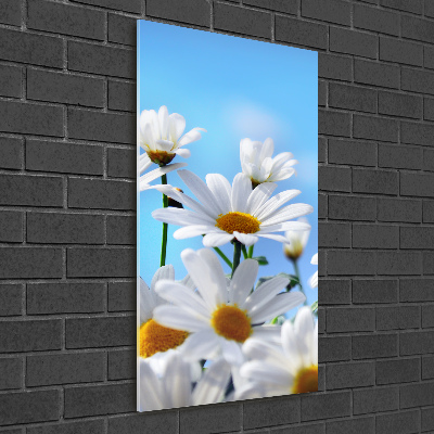 Staand foto in plexiglas Madeliefjes