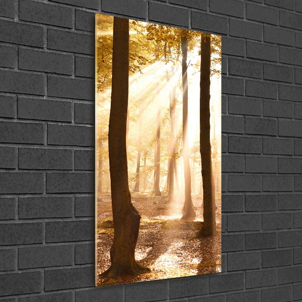 Staand foto op plexiglas Bos in de herfst