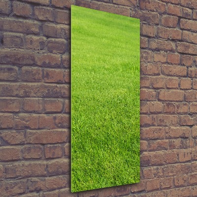 Staand plexiglas foto Groen gras