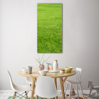 Staand plexiglas foto Groen gras