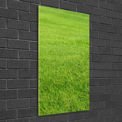 Staand plexiglas foto Groen gras