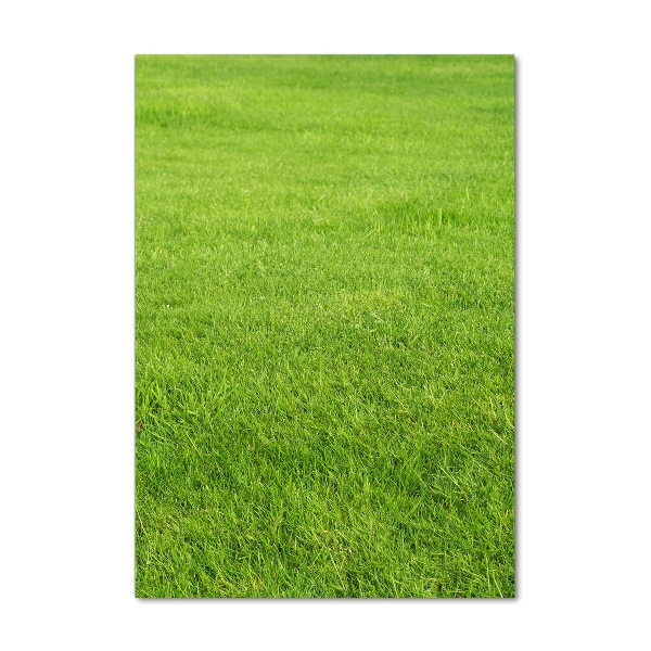 Staand plexiglas foto Groen gras