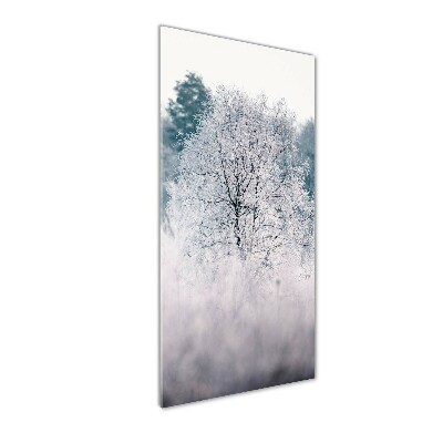 Staand foto plexiglas Bos in de winter