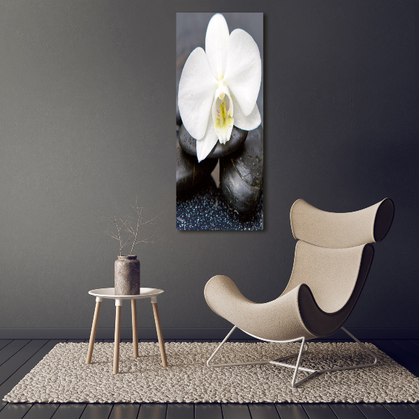 Staand foto plexiglas Orchidee en stenen
