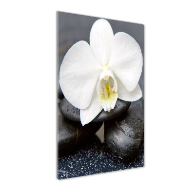Staand foto plexiglas Orchidee en stenen
