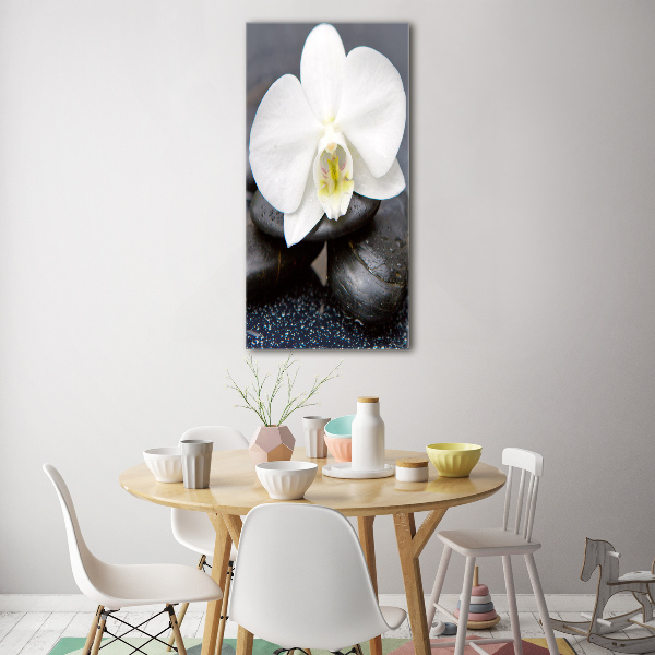 Staand foto plexiglas Orchidee en stenen