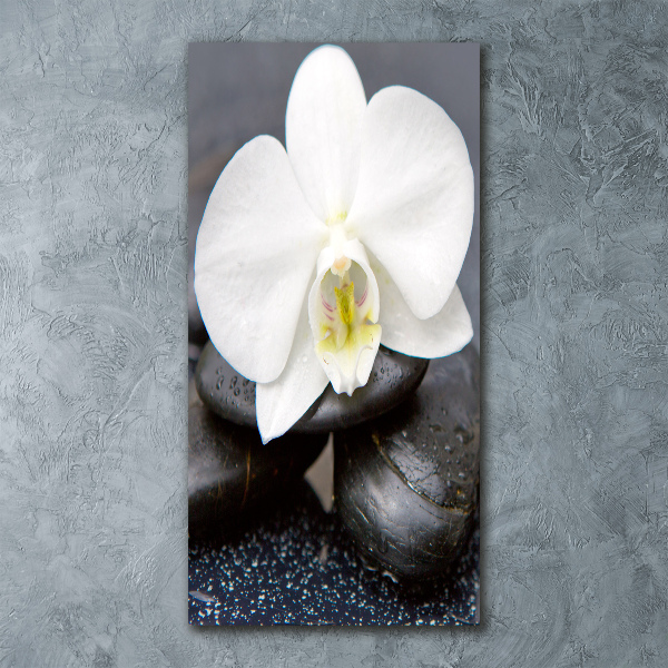 Staand foto plexiglas Orchidee en stenen